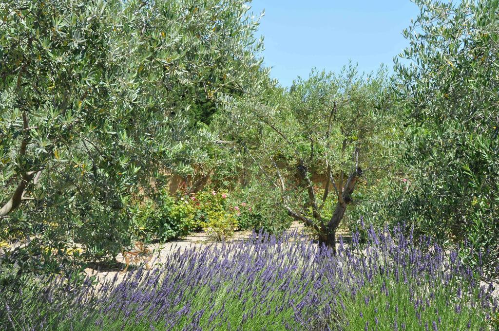 La Maison De Line Saint-Remy-de-Provence Room photo