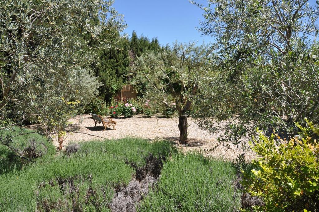 La Maison De Line Saint-Remy-de-Provence Exterior photo
