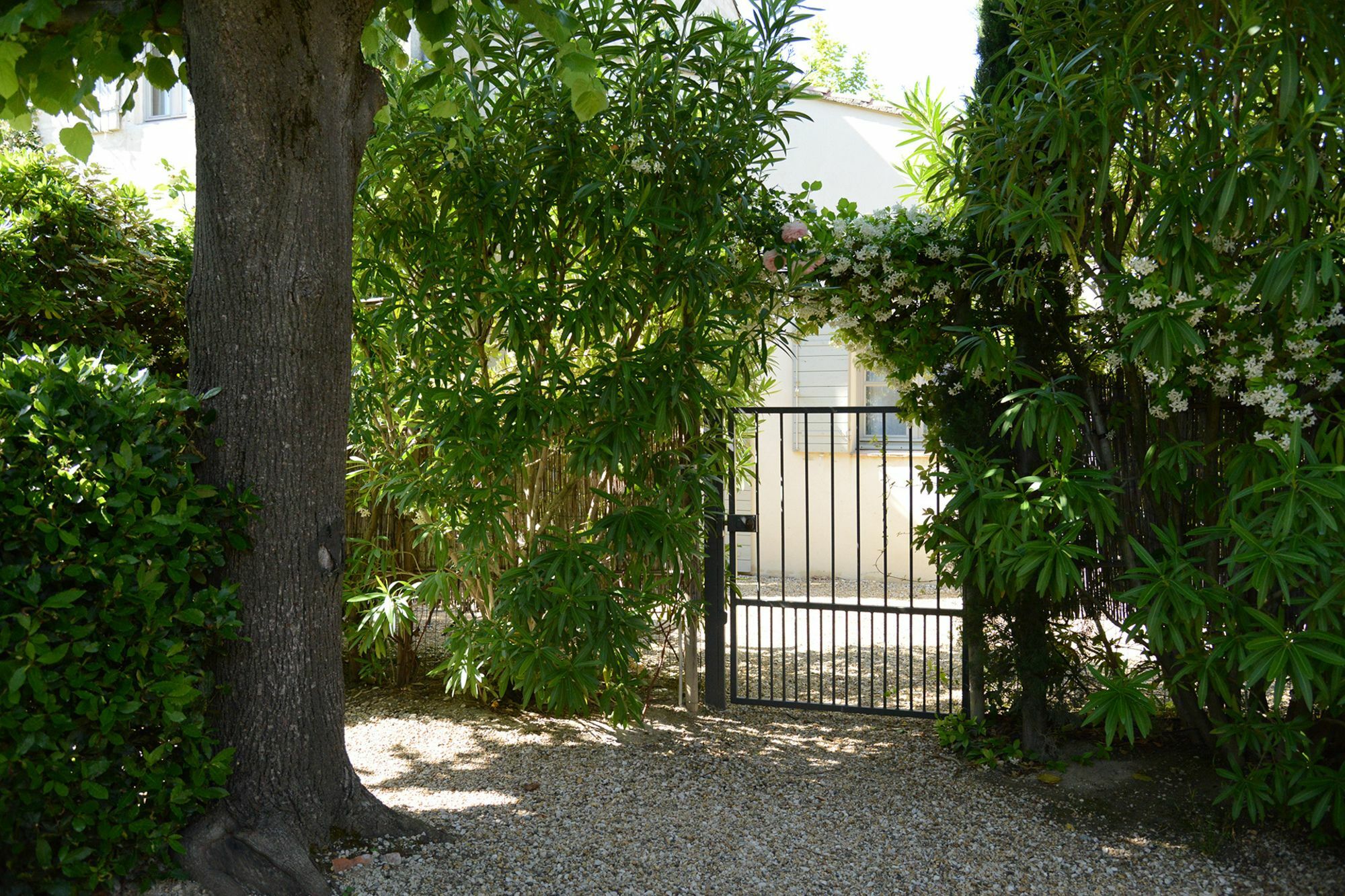 La Maison De Line Saint-Remy-de-Provence Exterior photo